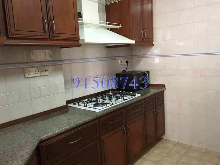 Dover Parkview (D5), Condominium #173553402
